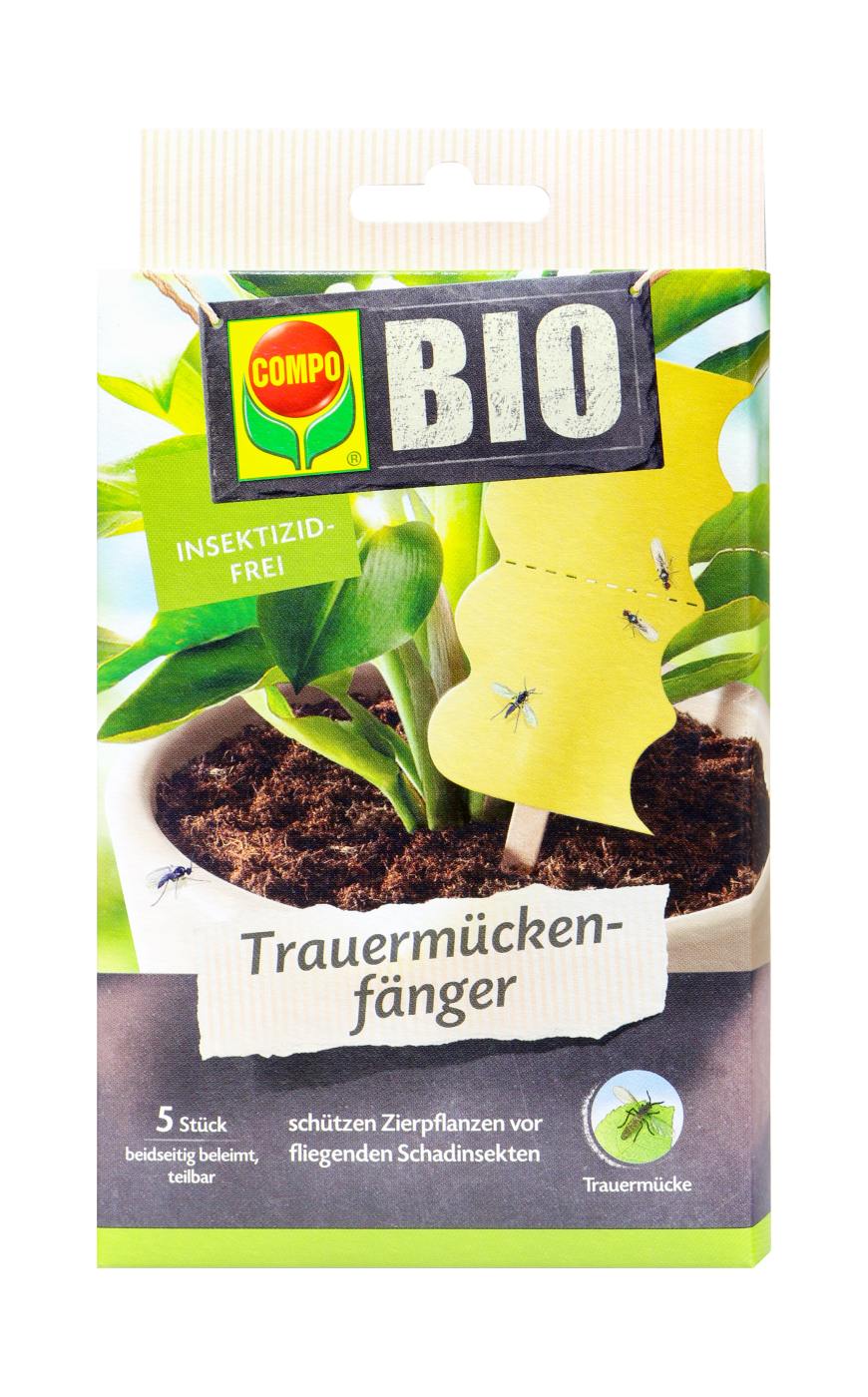 COMPO BIO Trauermückenfänger - 5 Stück COMPO BIO Trauermückenfänger - 5 Stück